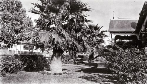 Front garden of Sebrof