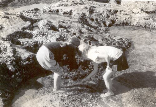 Balmoral rockpool